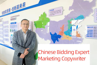 write professional chinese tender documents  business plans  and proposals