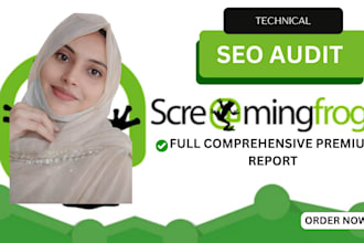 scan your website with screaming frog SEO spider and deliver detailed reports