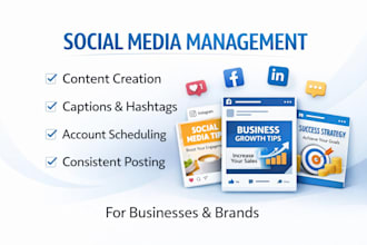 manage your social media accounts with content, captions and scheduling