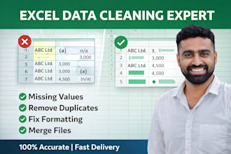 clean, format, filter, sort and merge excel data professionally