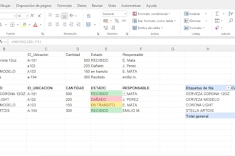organizar, limpiar y estructurar datos en excel profesionalmente
