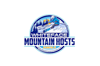 create creative and good looking skiing logo design