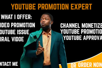 do USA organic subscribers and youtube video promotion