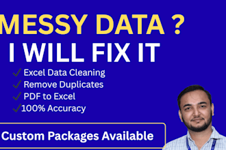 enter, clean, format and fix messy excel data professionally