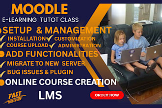 customize, install, plugin ,setup for learning website  for online course