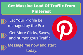 be your pinterest account manager to boost your business