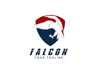 create high quality and beautiful hawk logo design