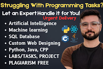do assigned programming python machine learn java cpp sql database web developer