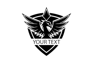 create professional and specially hawk logo design