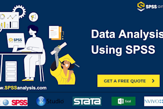 do statistical analysis and excel data analysis, spss