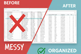 excel data cleaning, formatting, and organization
