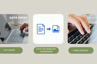 do data entry, typing, PDF to word, excel data entry fast