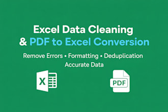 convert PDF to excel and clean data with accuracy