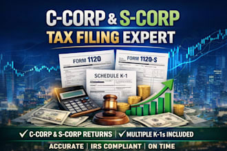 professionally prepare and e file US tax return for c corp and s corp