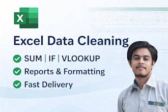 do excel data entry specialist  vlookup if and sum expert