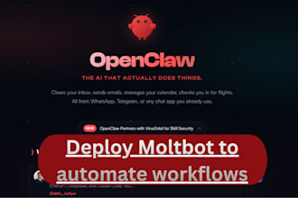 professionally set up and configure openclaw