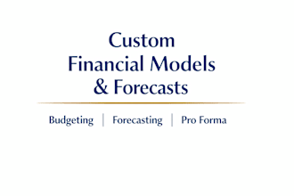 build a custom financial model, forecast, or pro forma in excel