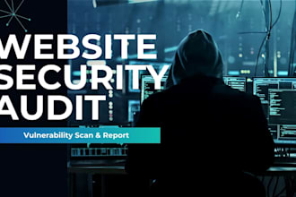 web security basic audit