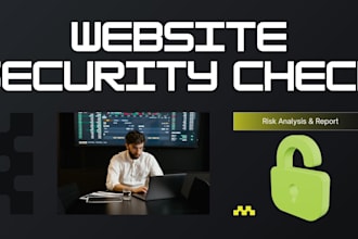 check your website security and deliver a risk report