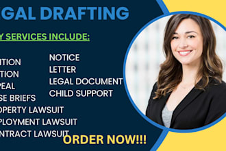 be your civil lawyer in property, business, employment and contract lawsuits