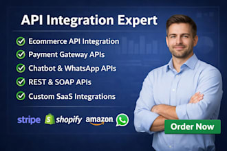 do secure API integration for ecommerce, payment, chatbot, and saas platforms
