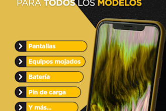diseñare posts profesionales para instragram y facebook