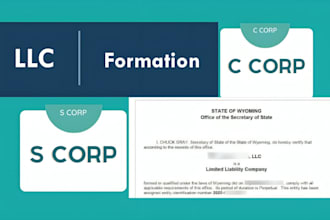 do us llc formation, s corp, c corp, llc registration delaware llc, wyoming llc