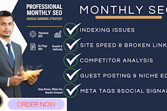 provide professional monthly SEO for google ranking