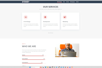professional buisness wordpress website