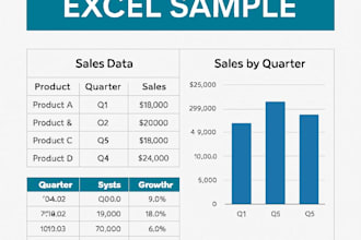 professional excel and word expert for your business