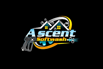 create graceful and fantastic softwash  logo design