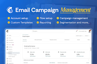 do mailchimp email campaign, account setup, and management