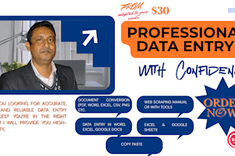 be your professional data entry assistant