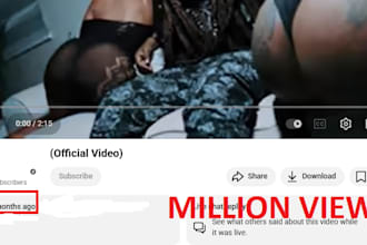 promote youtube channel and video seo to 1 million views for revenue