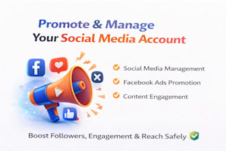 promote and manager your social media account, facebook ads content engagement