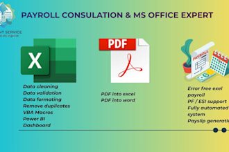 clean organize excel data and convert pdf into excel