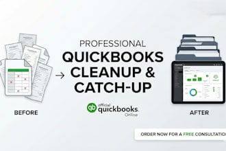 do quickbooks cleanup and catchup