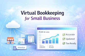 provide virtual bookkeeping and accounting for small businesses