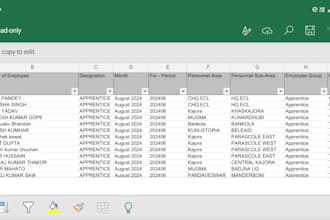 clean, format, merge, split excel data