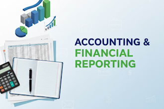 provide accounting and financial reporting services