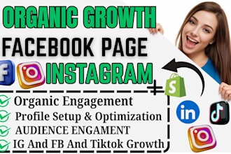 manage and promote instagram, facebook page for organic growth and engagement