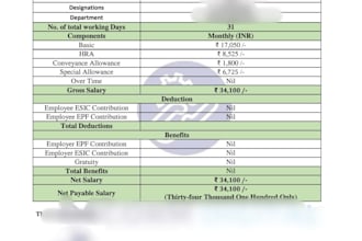 manage payroll processing salary sheets