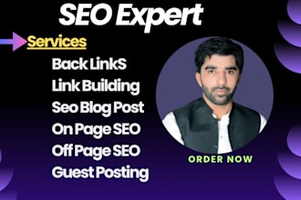 build high authority guest post backlinks for SEO