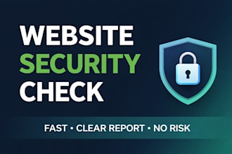 website security assessment and visibility report