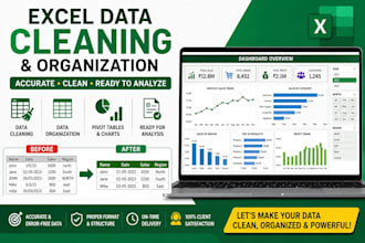 clean, format, and organize your excel data