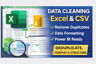 do data analysis excel clean duplicate format structure
