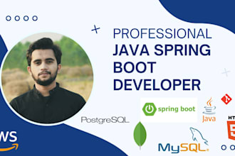 develop java spring boot, spring mvc, rest API applications
