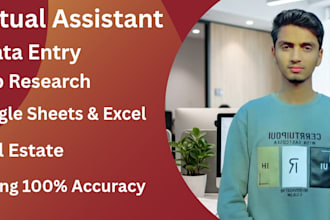 do professional data entry and google sheets work