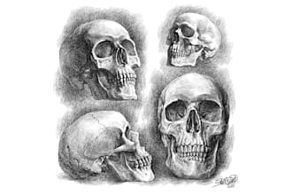 create pen and ink portrait drawings and realistic illustrations