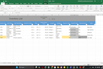 create a professional excel dashboard with charts and summar
